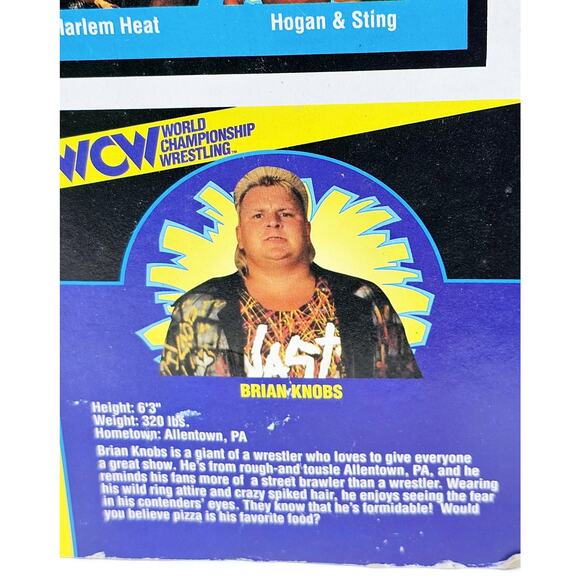 WCW The Nasty Boys Tag Team Wrestlers 1994 Jerry Sags & Brain Knobs Unopened - Picture 9 of 16